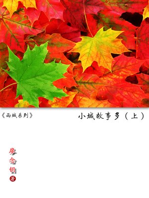 cover image of 雨城系列